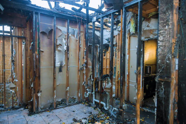 Professional Fire Damage Assessment technician working in Arlington, MN