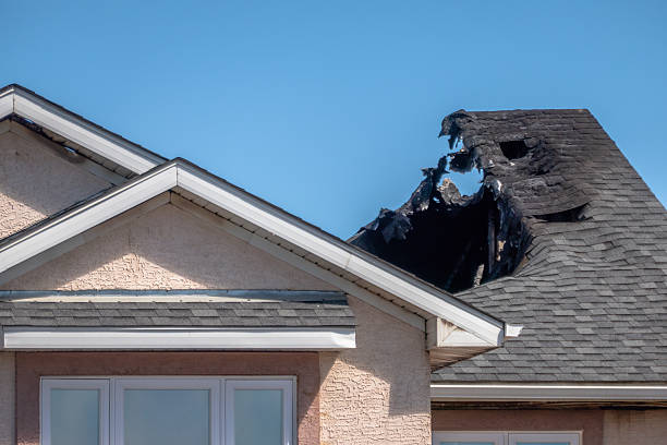 Top rated local Fire Damage Assessment specialists in Arlington, MN